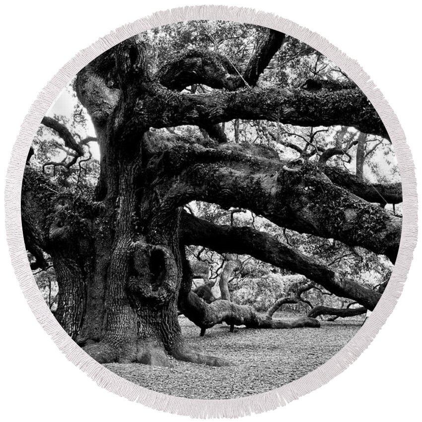 Nature Round Beach Towel featuring the photograph Angel Oak Tree 2009 Black and White by Louis Dallara