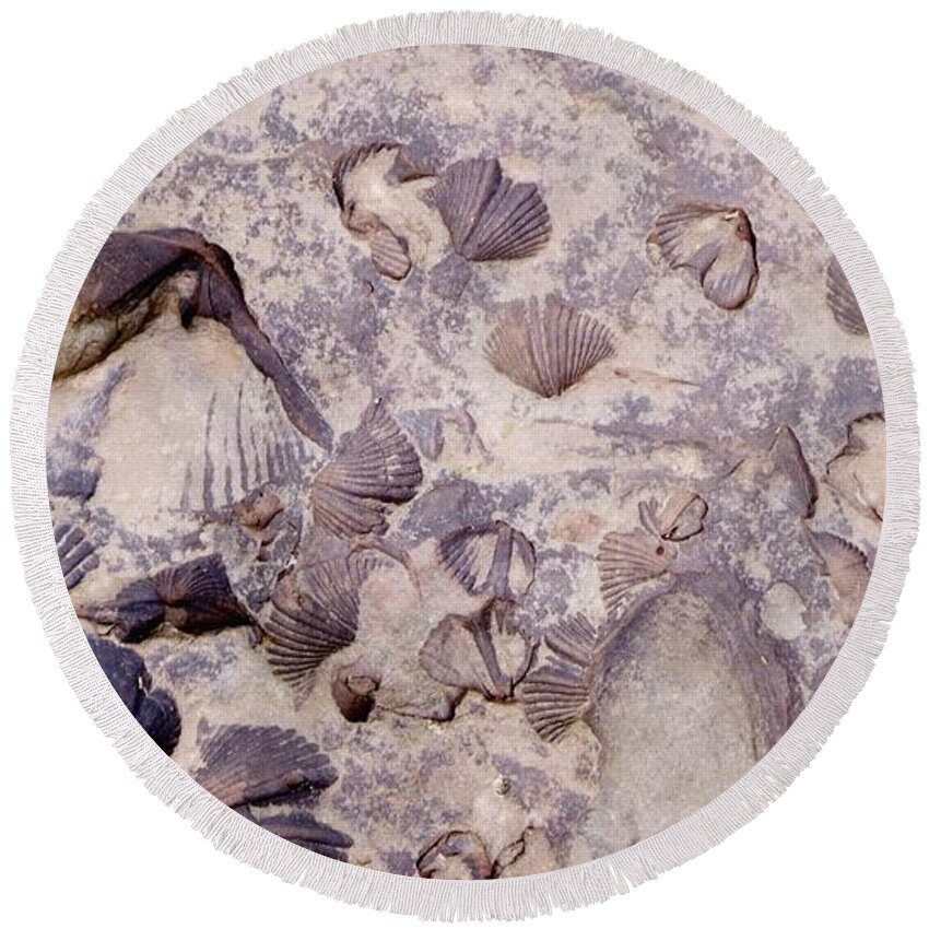 Fossils Round Beach Towel featuring the photograph Angel Wings by Danielle R T Haney