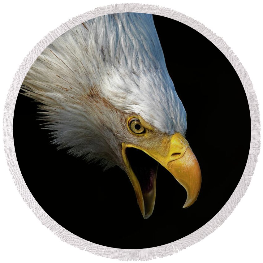 Bald Eagle Round Beach Towel featuring the photograph Angry Bald Eagle Portrait by Lowell Monke