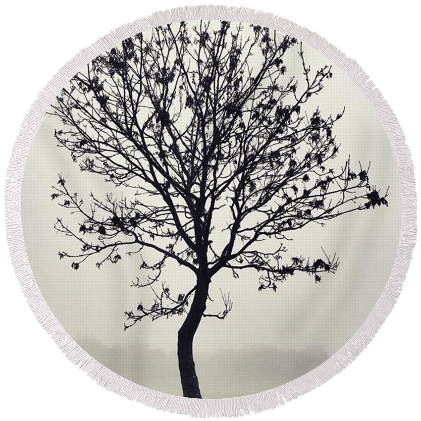Tree Round Beach Towel featuring the photograph Another Walk Through The by John Edwards