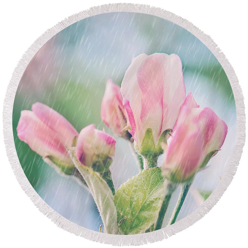 Apple Blossoms In The Rain Print Round Beach Towel featuring the photograph Apple Blossoms in the Rain 12x12 Crop Print by Gwen Gibson