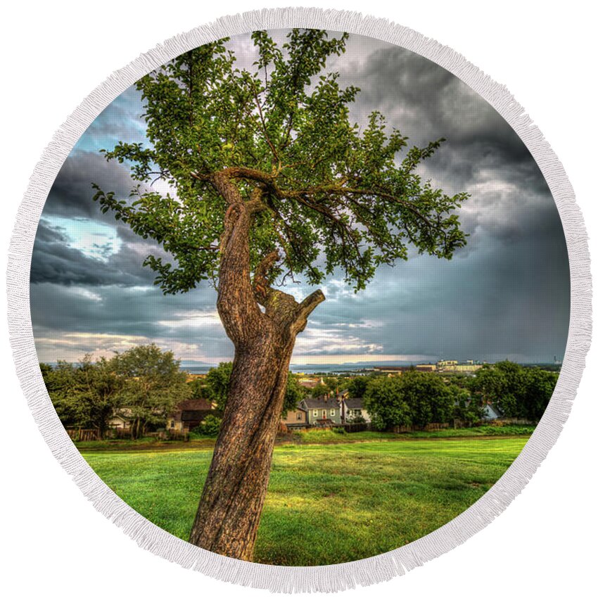 Abstract Round Beach Towel featuring the photograph Apple Tree, Hillcrest Park by Jakub Sisak