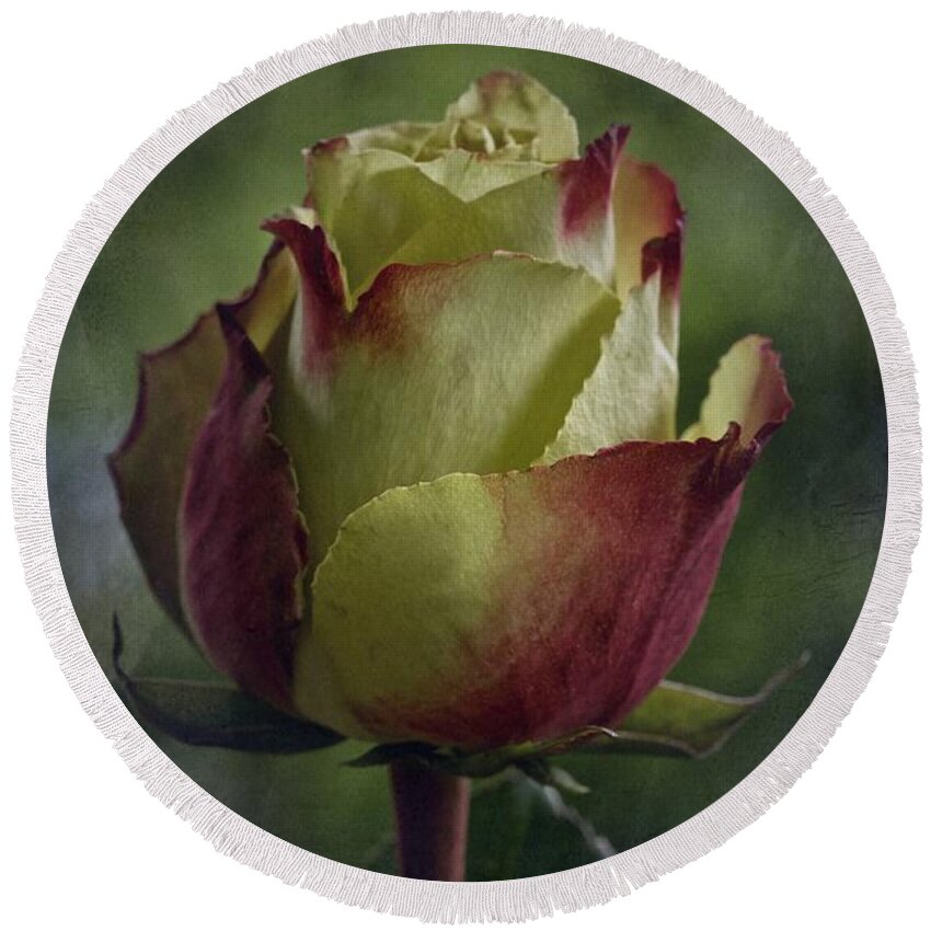 Rose Round Beach Towel featuring the photograph April 2017 Rose - Inspired by Emerson by Richard Cummings