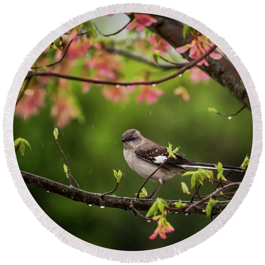 Terry D Photography Round Beach Towel featuring the photograph April Showers Bring May Flowers Mocking Bird by Terry DeLuco