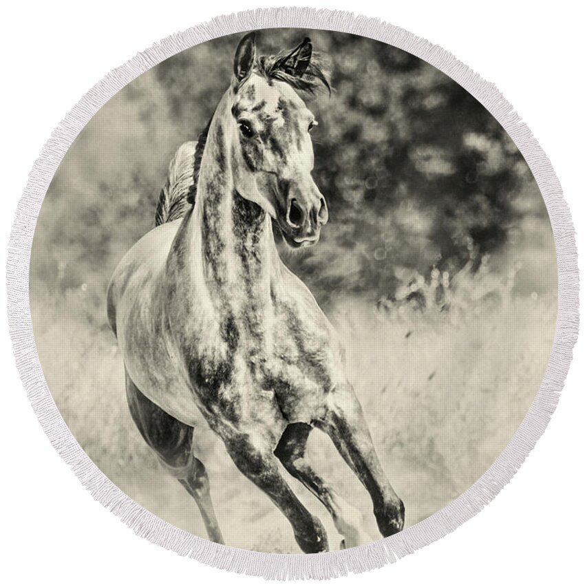 Horse Round Beach Towel featuring the photograph Arabian horse running on sunny meadow by Dimitar Hristov