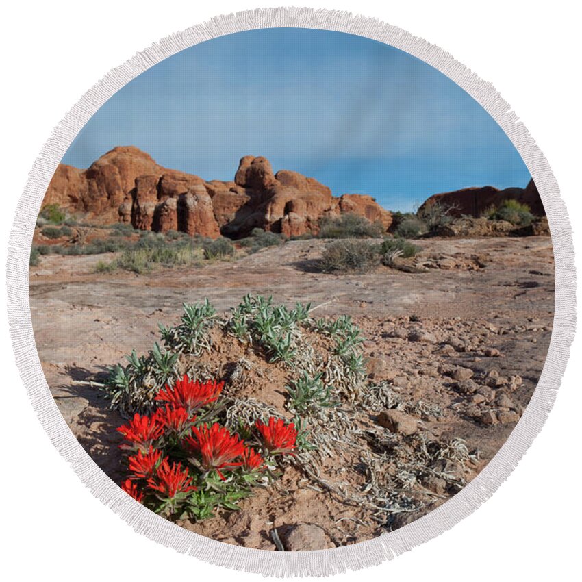 Arches National Park Round Beach Towel featuring the photograph Arches National Park Indian Paintbrush Landscape by Cascade Colors