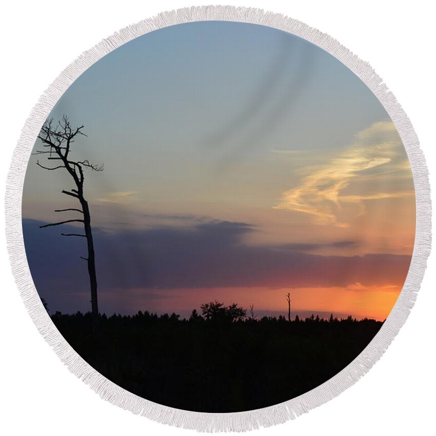 Tree Round Beach Towel featuring the photograph Arching Tree at Sunset by Patricia Twardzik