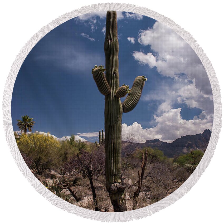 Arizona Round Beach Towel featuring the photograph Arizona Cactus by David Palmer