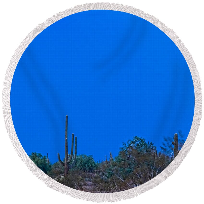 Arizona Round Beach Towel featuring the photograph Arizona Desert Landscape by James BO Insogna