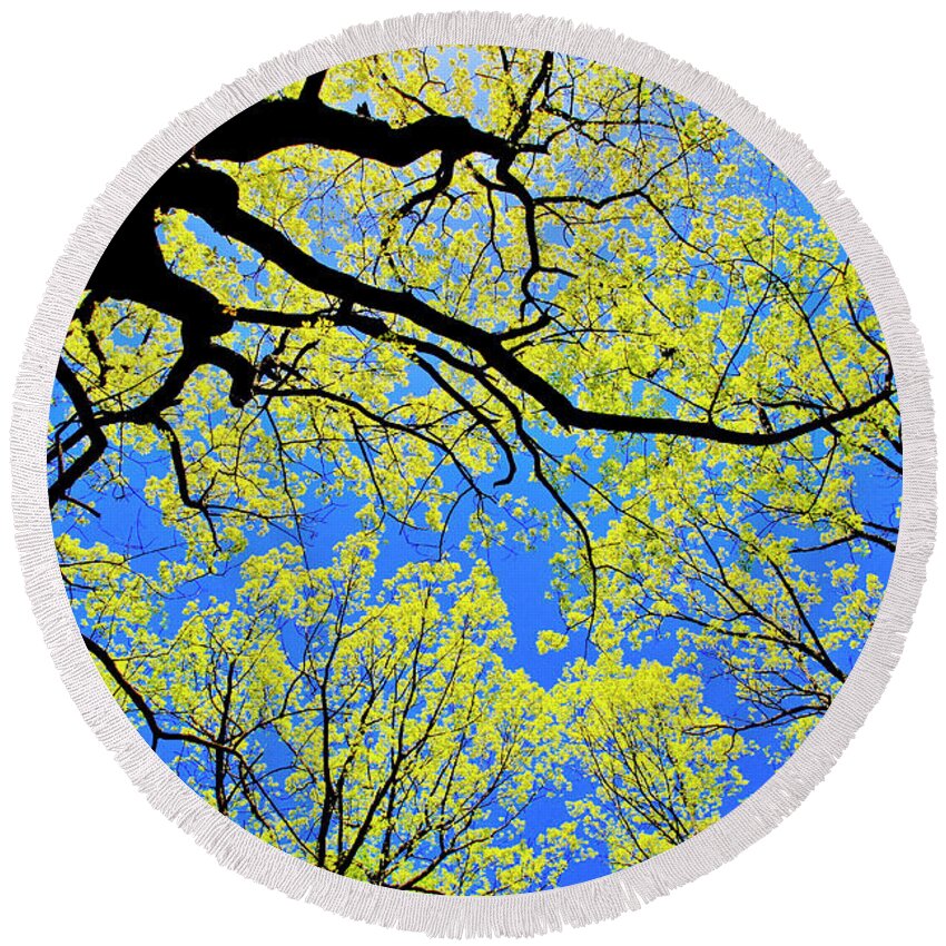 Tree Canopy Round Beach Towel featuring the photograph Artsy Tree Canopy Series, Early Spring - # 03 by The James Roney Collection