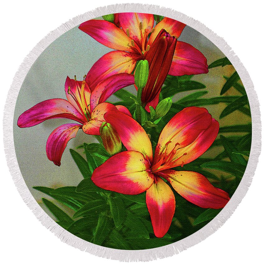 Asian Lilly Spring Time Round Beach Towel featuring the digital art Asian Lilly Spring Time by Tom Janca