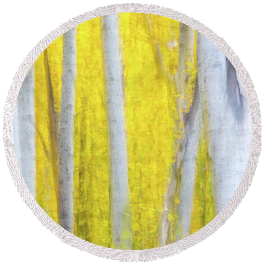 Abstract Round Beach Towel featuring the photograph Aspen Abstract by Mimi Ditchie