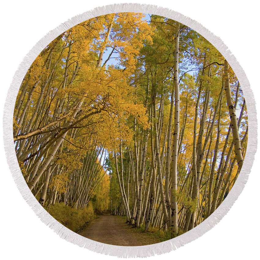 Colorado Round Beach Towel featuring the photograph Aspen Alley by Steve Stuller