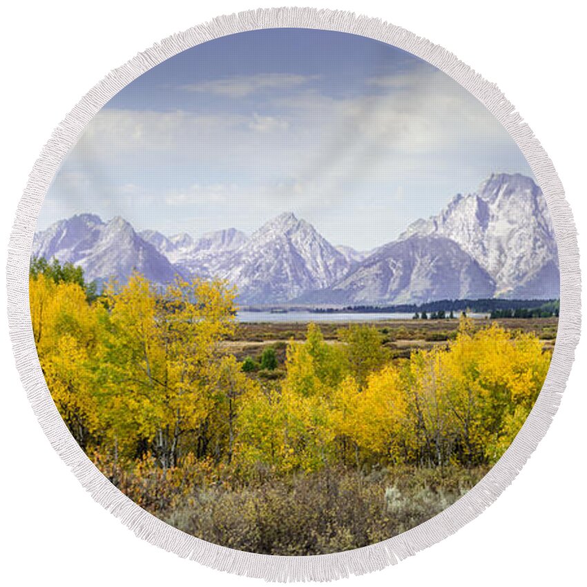 Aspen Round Beach Towel featuring the photograph Aspen Gold in the Tetons by Greni Graph
