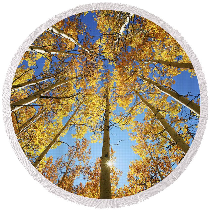 Aspen Round Beach Towel featuring the photograph Aspen Tree Canopy 2 by Ron Dahlquist - Printscapes