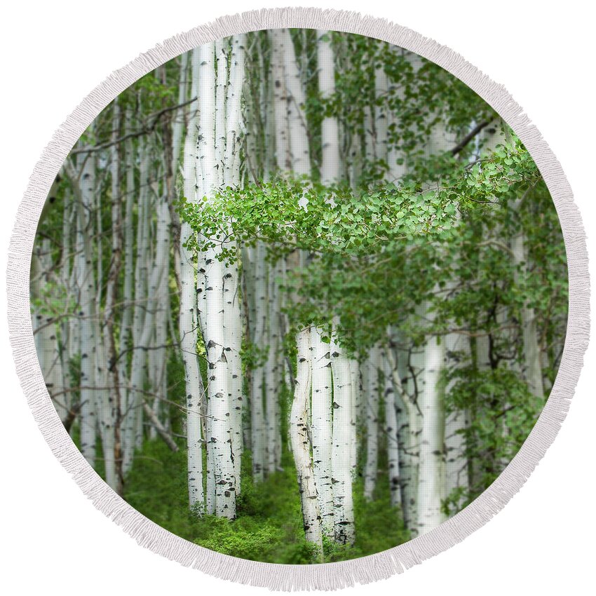 Aspens Round Beach Towel featuring the photograph Aspens, Colorado by George Robinson