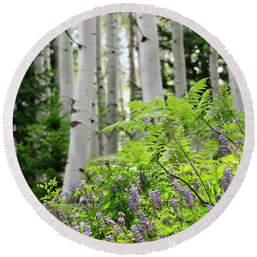 Aspen Round Beach Towel featuring the painting Aspens Ferns and Flowers 2 by Constance Woods