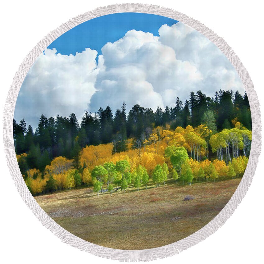 Aspen Round Beach Towel featuring the photograph Aspens in the Sun by David Arment