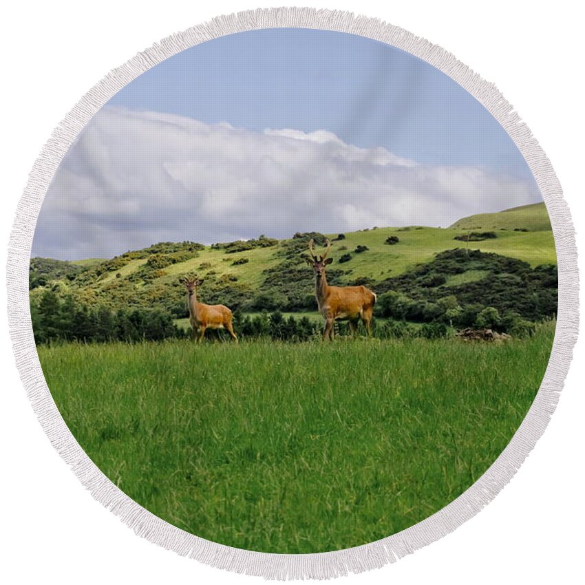 Beecraigs Round Beach Towel featuring the photograph At the hill bottom. by Elena Perelman