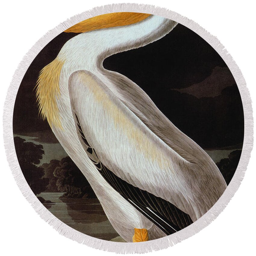 19th Century Round Beach Towel featuring the photograph Audubon: Pelican by Granger