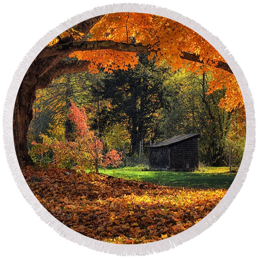 Grass Round Beach Towel featuring the photograph Autumn Brilliance by Tricia Marchlik