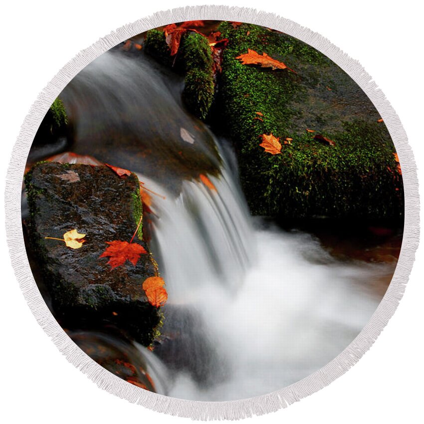 Nature Round Beach Towel featuring the photograph Autumn Clings by Rebecca Higgins