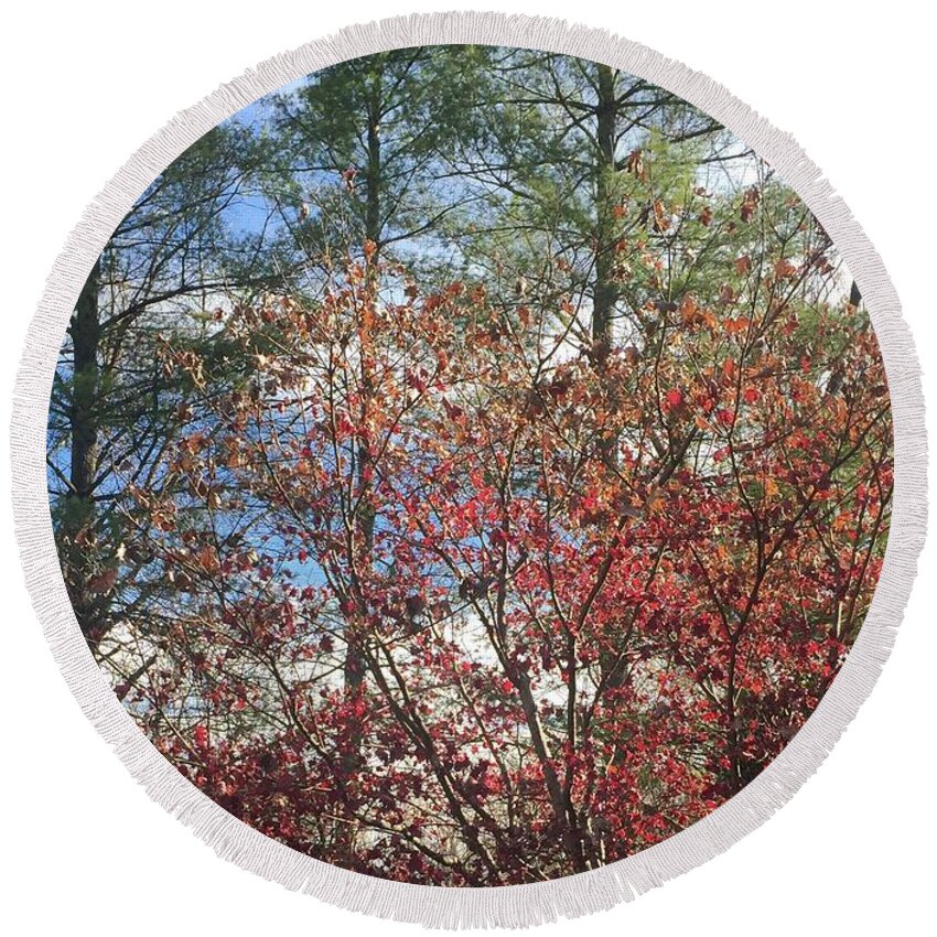 Nature Round Beach Towel featuring the photograph Autumn Day by Barbara Plattenburg