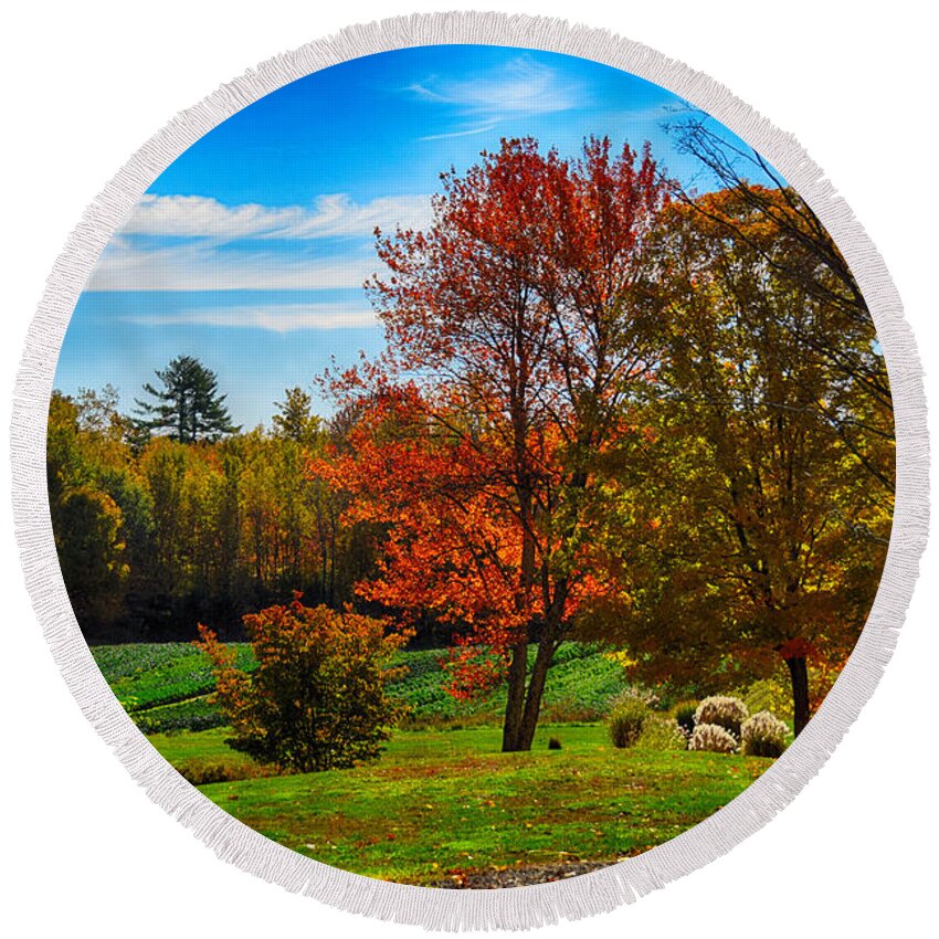 Grass Round Beach Towel featuring the photograph Autumn Field by Tricia Marchlik