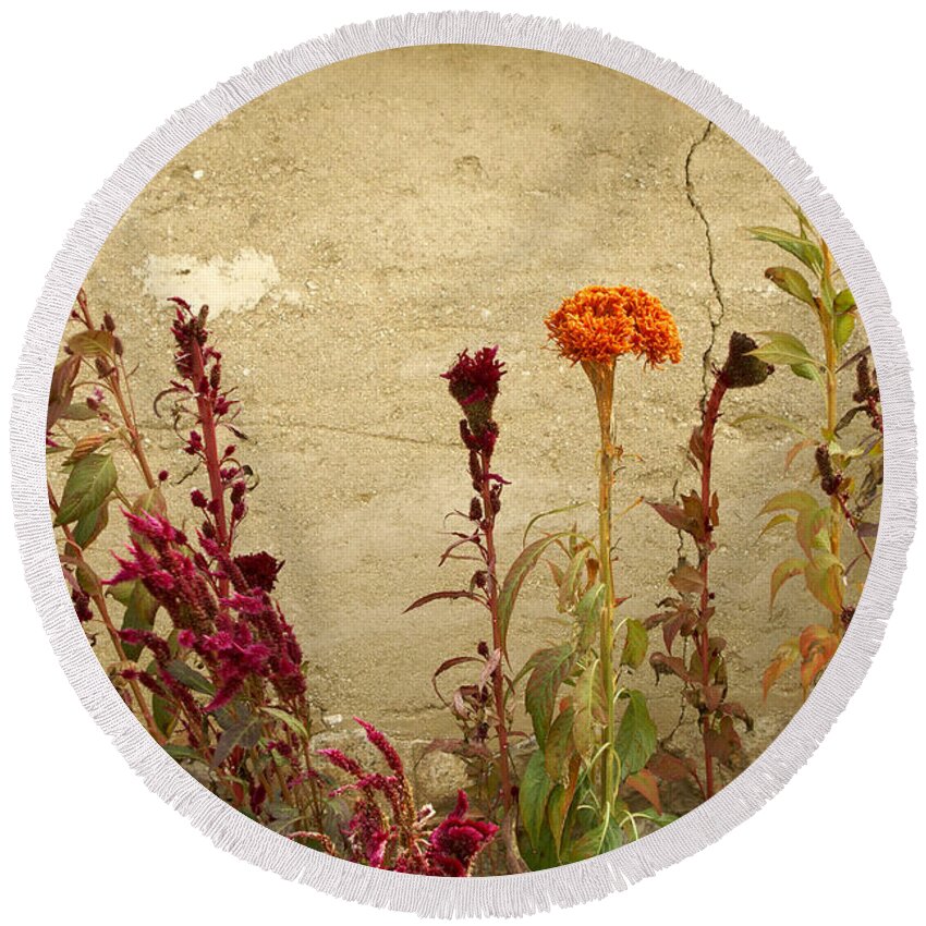 Flowers Round Beach Towel featuring the photograph Autumn Garden by Michele Burgess