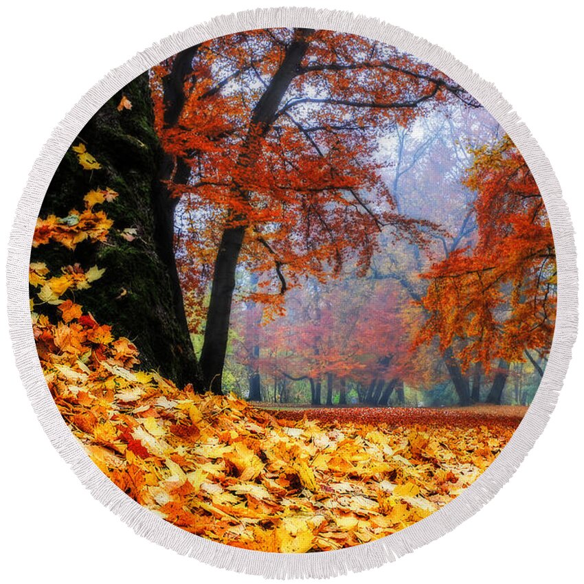 Autumn Round Beach Towel featuring the photograph Autumn In The Woodland by Hannes Cmarits