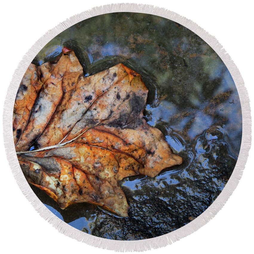 Appalachia Round Beach Towel featuring the photograph Autumn Leaf by Debra and Dave Vanderlaan