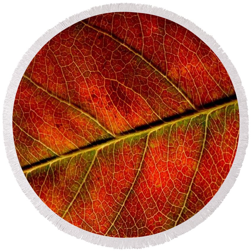Leaf Autumn Fallen Fall Winter Amber Red Faded Vein Veins Round Beach Towel featuring the photograph Autumn Leaf by Ian Sanders