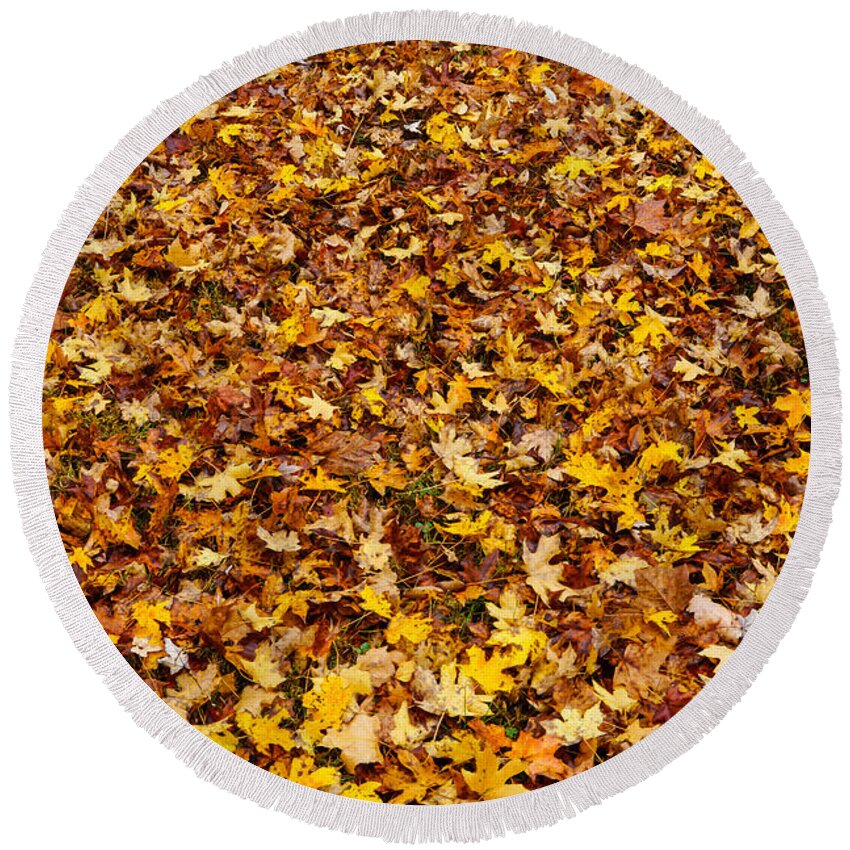 Abstract Round Beach Towel featuring the photograph Autumn Leaves Abstract by Jennifer White