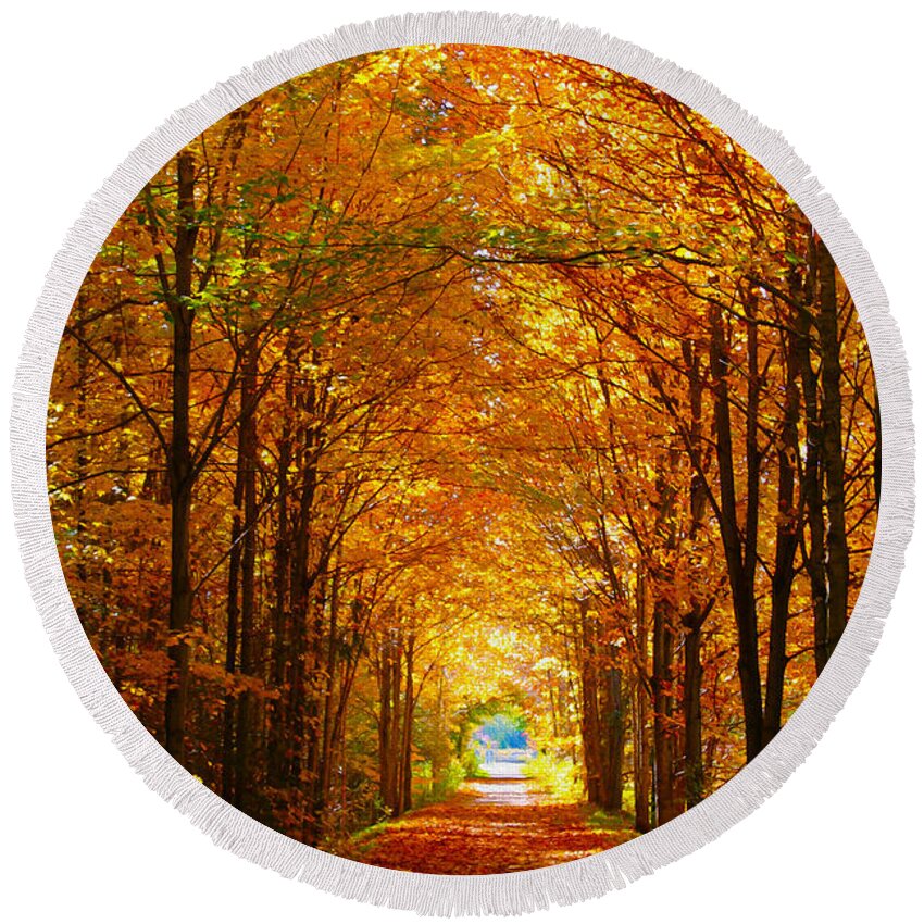 Autumn Round Beach Towel featuring the photograph Autumn Light and Leaf Painting by Nina Silver