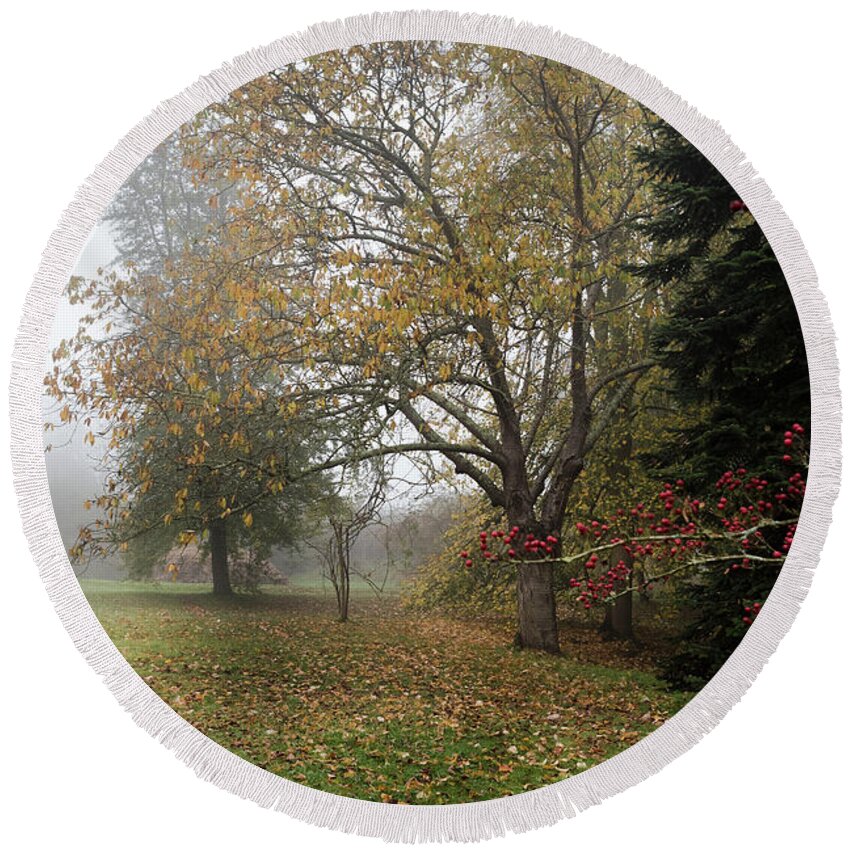 Red Berries Round Beach Towel featuring the photograph Autumn Mist, Great Dixter Garden 2 by Perry Rodriguez