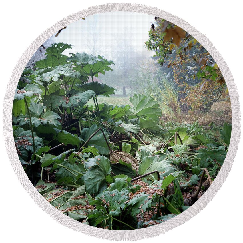 Autumn Round Beach Towel featuring the photograph Autumn Mist, Great Dixter Garden by Perry Rodriguez