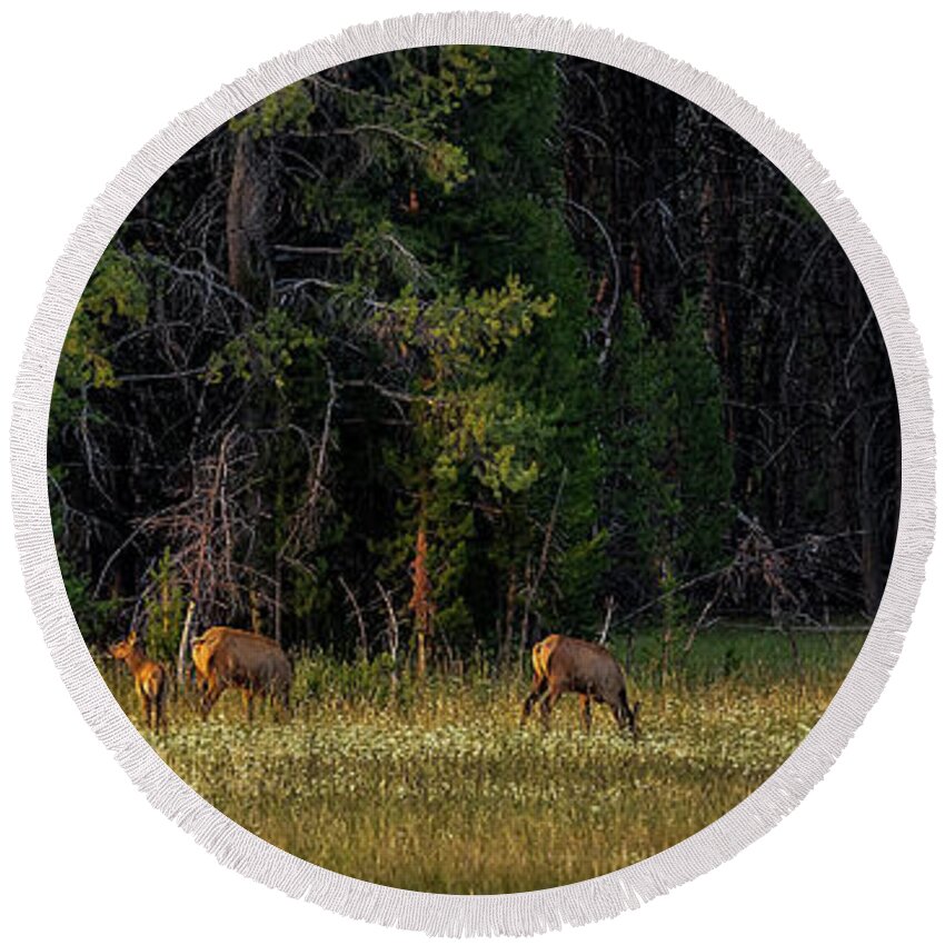 Elk Round Beach Towel featuring the photograph Autumn Morning In The Meadow by Yeates Photography