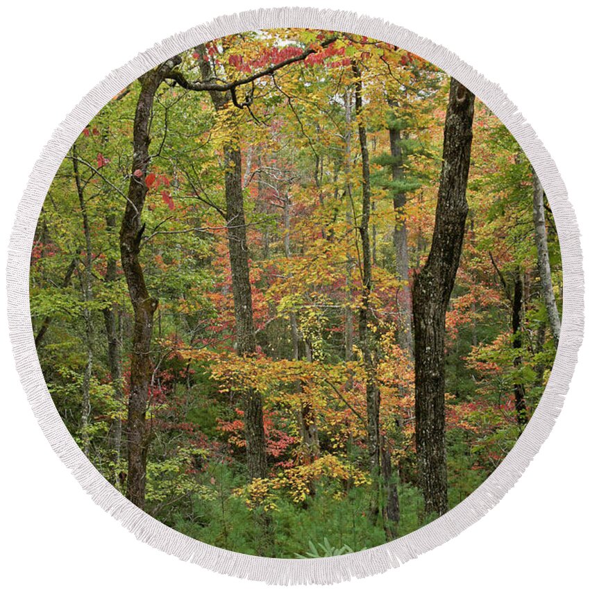 Tennessee Round Beach Towel featuring the photograph Autumn Palette by Michele Burgess