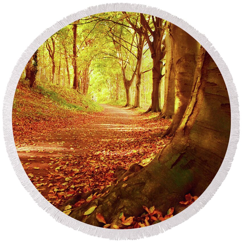 Autumn Round Beach Towel featuring the photograph Autumn path by Mihaela Pater