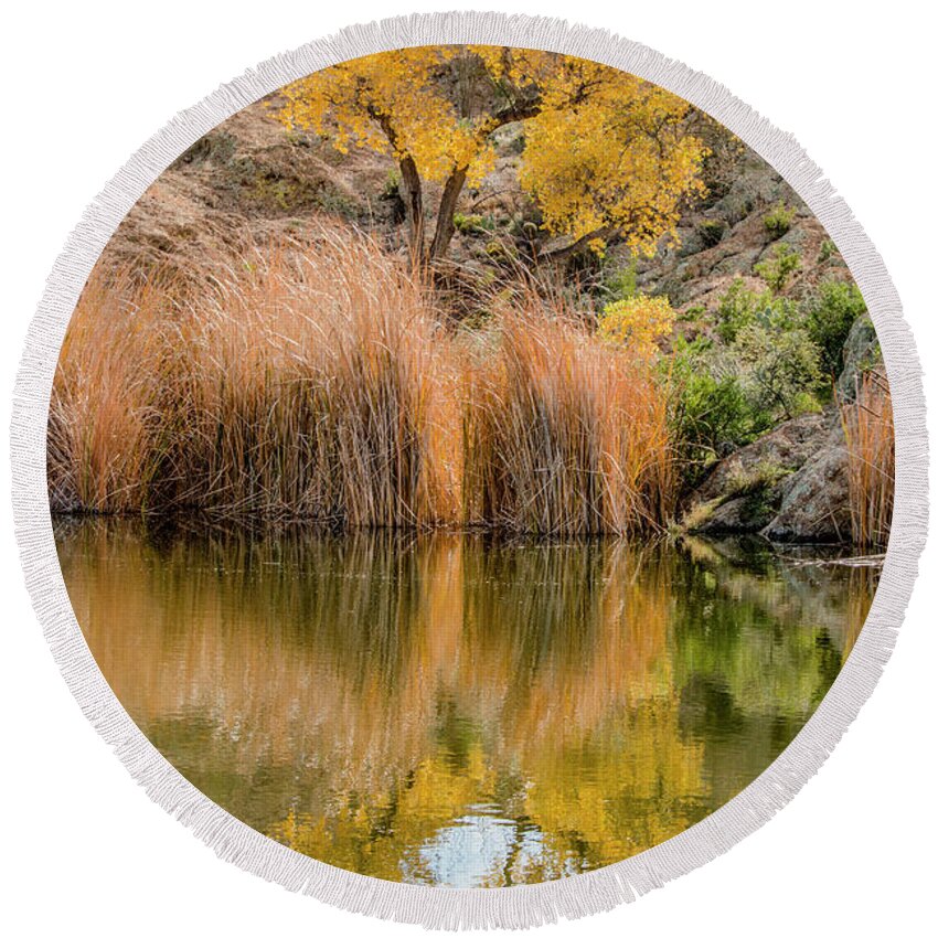 Tree Round Beach Towel featuring the photograph Autumn Reflection at Boyce Thompson Arboretum by Teresa Wilson