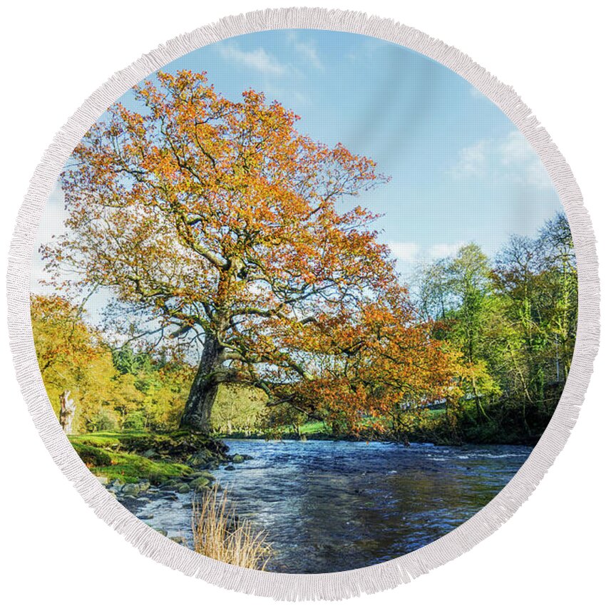 Snowdonia Round Beach Towel featuring the photograph Autumn Tree by Ian Mitchell
