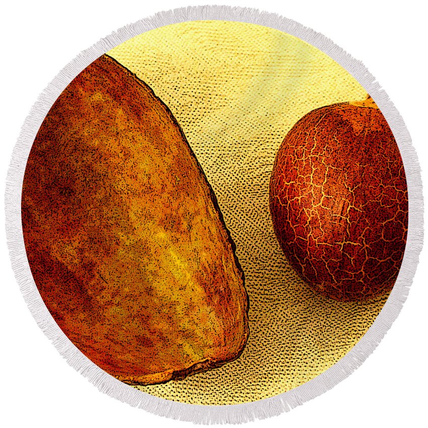 Fruit Round Beach Towel featuring the photograph Avocado Seed And Skin II by Ben and Raisa Gertsberg