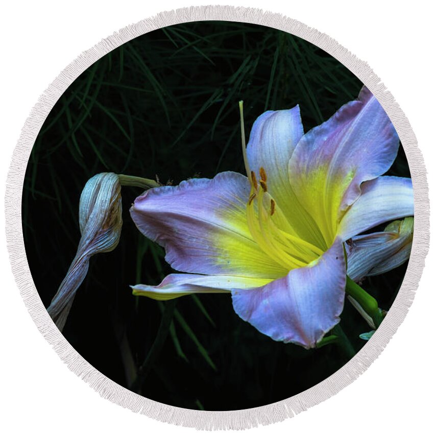 Hayward Garden Putney Vermont Round Beach Towel featuring the photograph Awesome Daylily by Tom Singleton