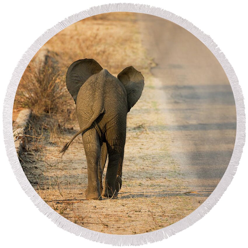 Elephant Round Beach Towel featuring the photograph Baby elephant rear view by Jane Rix