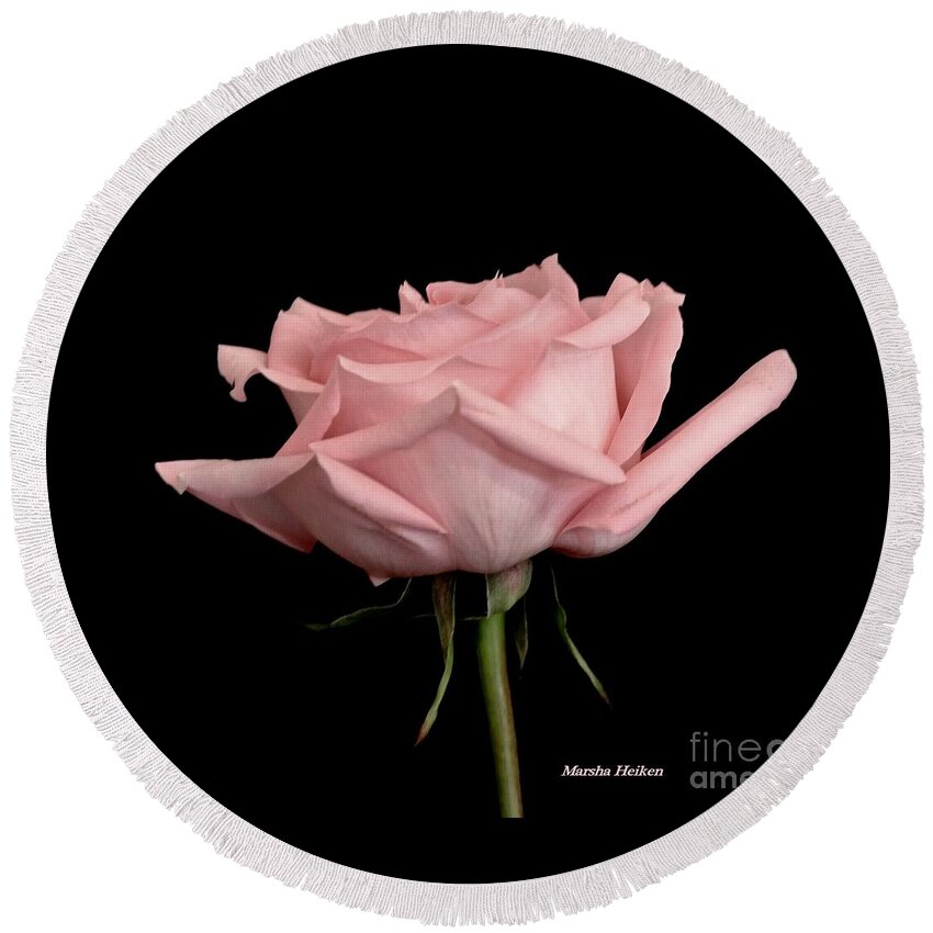 Photo Round Beach Towel featuring the photograph Baby Pink Rose Two by Marsha Heiken