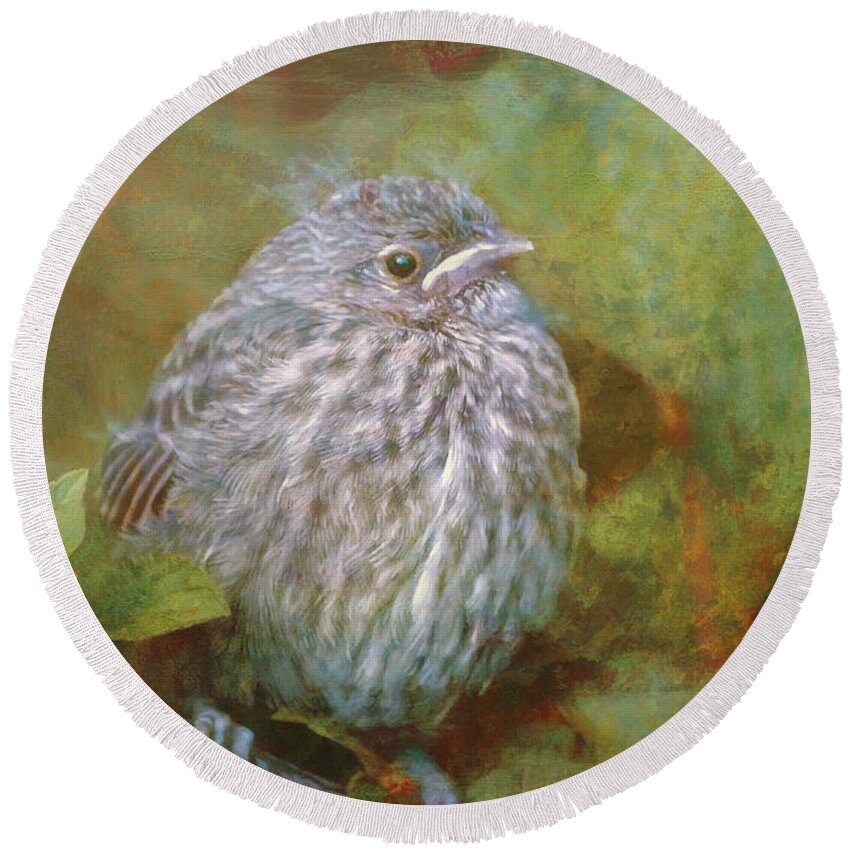 Branch Round Beach Towel featuring the photograph Baby Sparrow - Digital Painting by Maria Angelica Maira