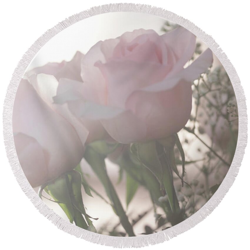 Birthday Round Beach Towel featuring the photograph Backlit Pink Roses by Joni Eskridge