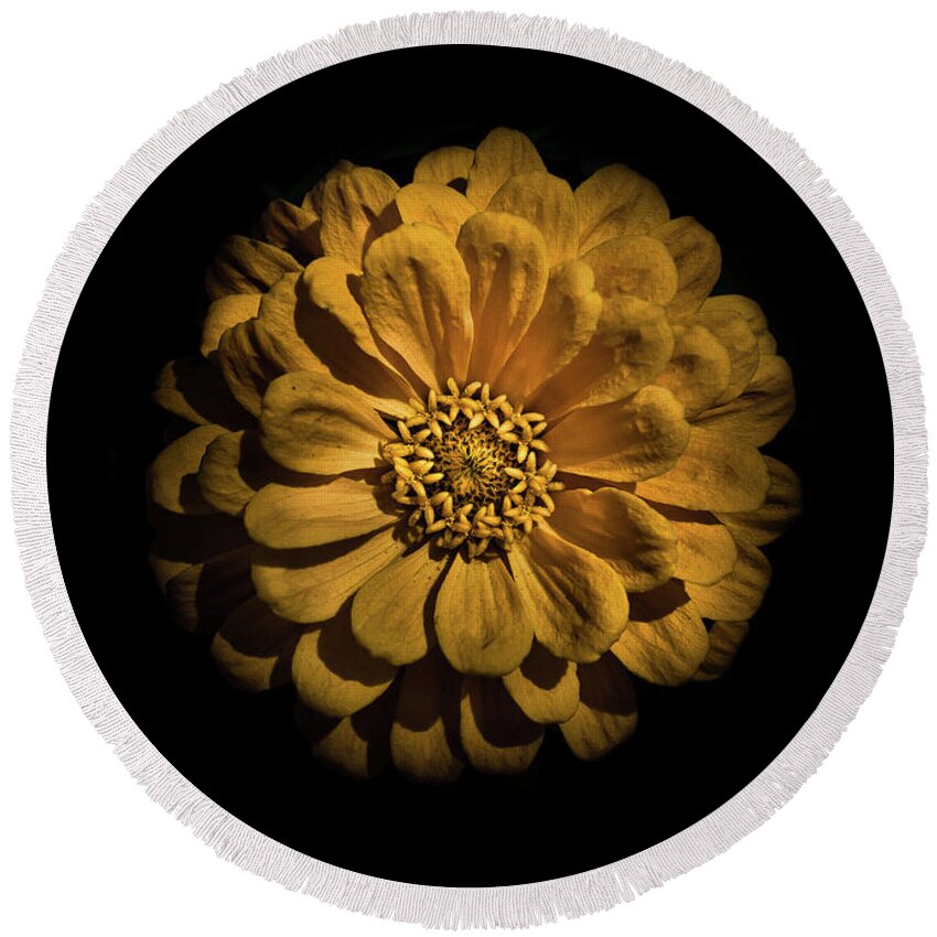Brian Carson Round Beach Towel featuring the photograph Backyard Flowers 58 Color Version by Brian Carson
