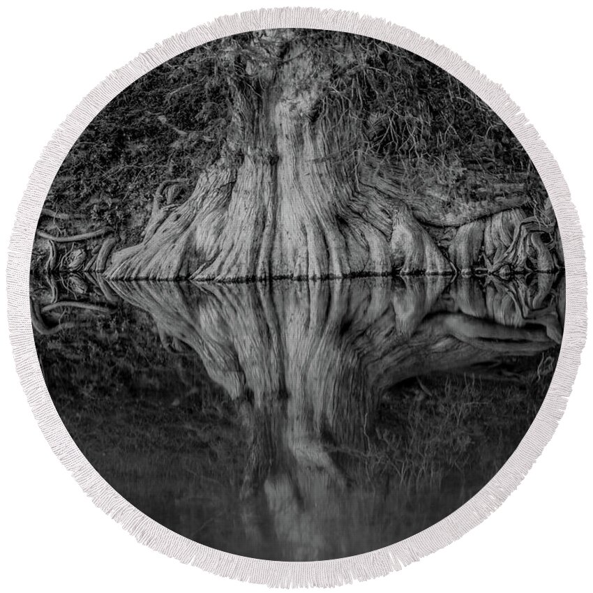 Bald Cypress Reflection In Black And White Michael Tidwell Guadalupe River Mike Tidwell Round Beach Towel featuring the photograph Bald Cypress Reflection in Black and White by Michael Tidwell