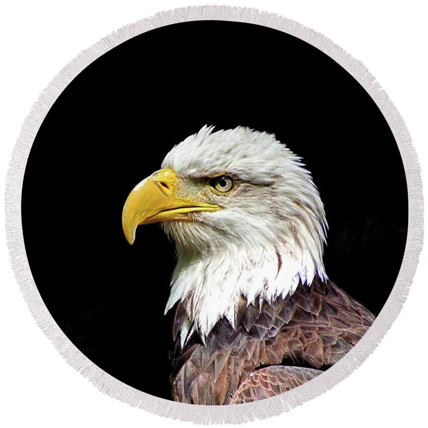 Animal Round Beach Towel featuring the photograph Bald Eagle by John Trommer